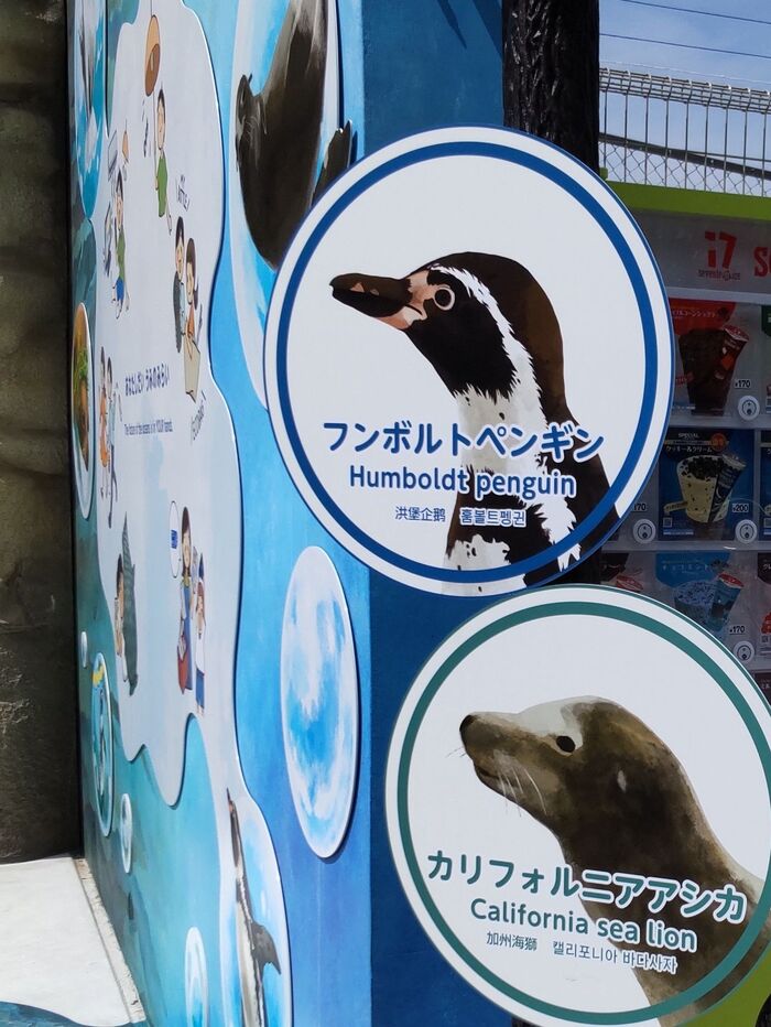 大阪発【天王寺動物園】令和5年4月26日オープンの動物ゾーンって?今お勧めの動物ゾーン3選