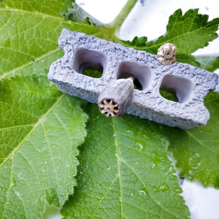 1個ちぎってきました