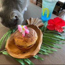 マックでハワイ、私はテイクアウト派です!