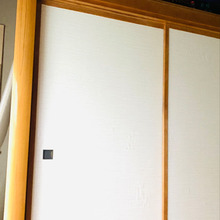 チラ見せでごめんなさい!押入れはカラーBOX、透明なキャニスター式収納ケースが便利