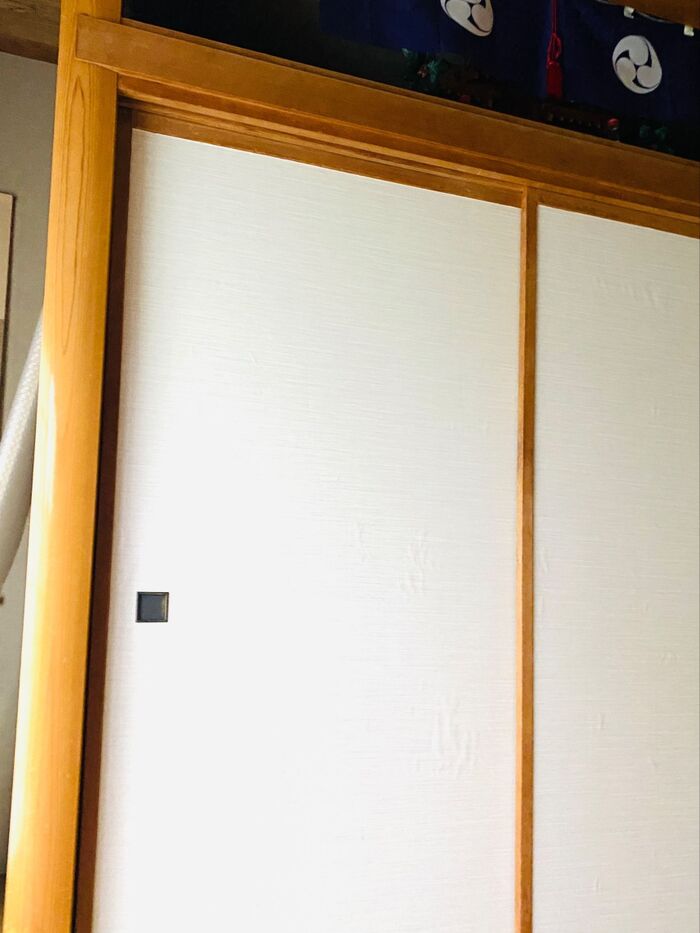 チラ見せでごめんなさい!押入れはカラーBOX、透明なキャニスター式収納ケースが便利