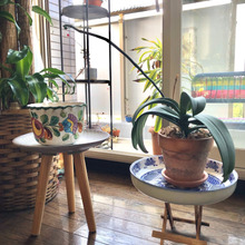 ダイソーの花台+ひと工夫でステキなのが出来ました♪