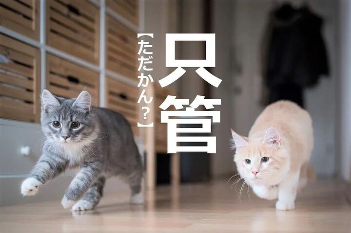 「只管」を「タダカン」と読むと笑われます!【読めないと恥ずかしい漢字クイズ】