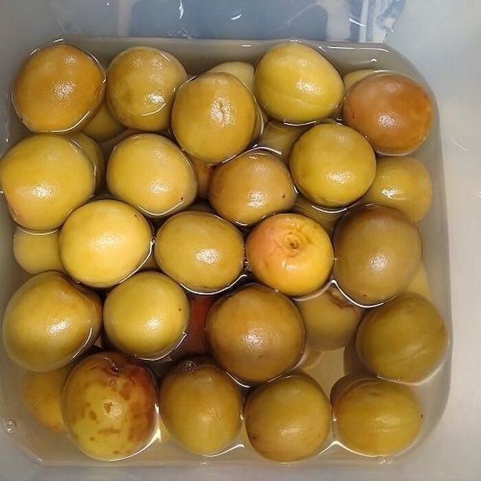 保存食を作る②梅サワージュース