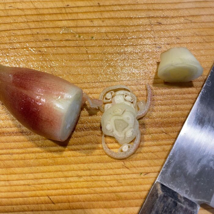 みょうがを切ります