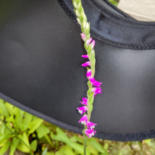 【6月道端の雑草】可愛く貴重!ラン科で摩訶不思議な植物発見♡花言葉は「思慕」!怖いほどの偶然も発見!