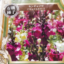 【植物活用法】可愛い金魚草ってエディブルフラワー(食用)なの?枯れた後の「ドクロ」は魔除けになるの?