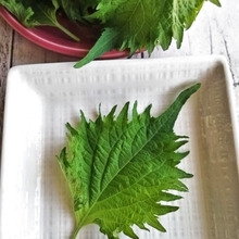 一枚乗せて焼くだけで【爽やか~♡】な仕上がりに!!