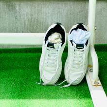 梅雨の合間の晴れに靴洗い♪乾かし中