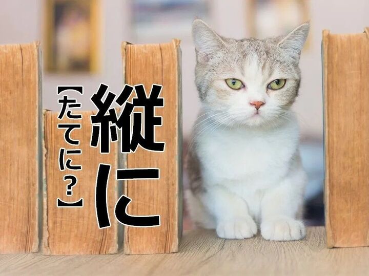 【縦に】を「たてに」と読むと笑われます!【読めないと恥ずかしい漢字クイズ】