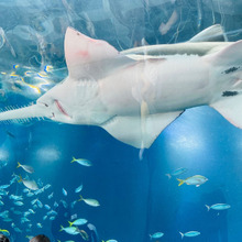 品川プリンスホテルで待ち合わせ