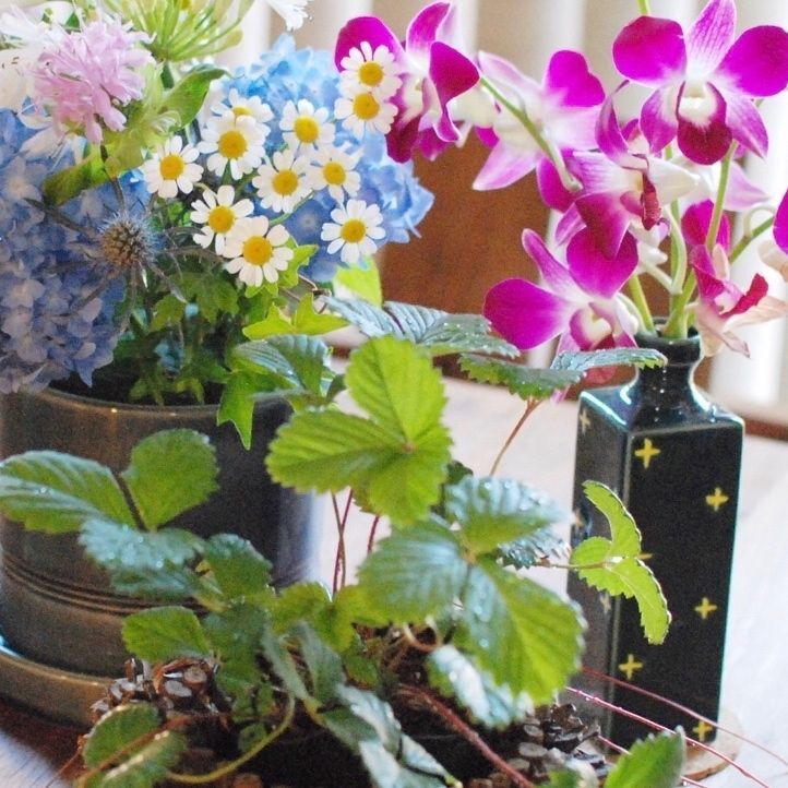 ① お花がたくさんある時