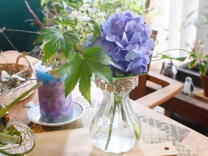 【切り花】切り花を飾るコツと長持ちさせるコツ