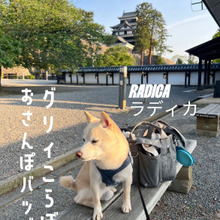 梅雨の季節に使いたい☆軽くて丈夫!撥水性に優れたCODURA(コーデュラ)ナイロンのお散歩BAG