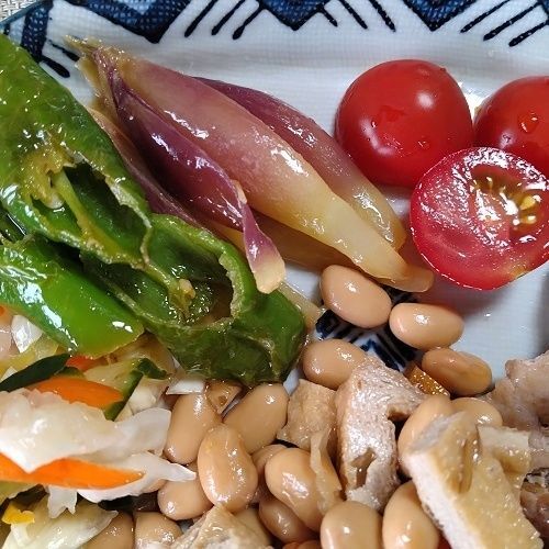 ミョウガと万願寺トウガラシのポン酢浸し