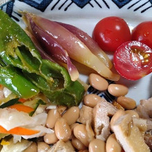 ミョウガと万願寺トウガラシのポン酢浸し