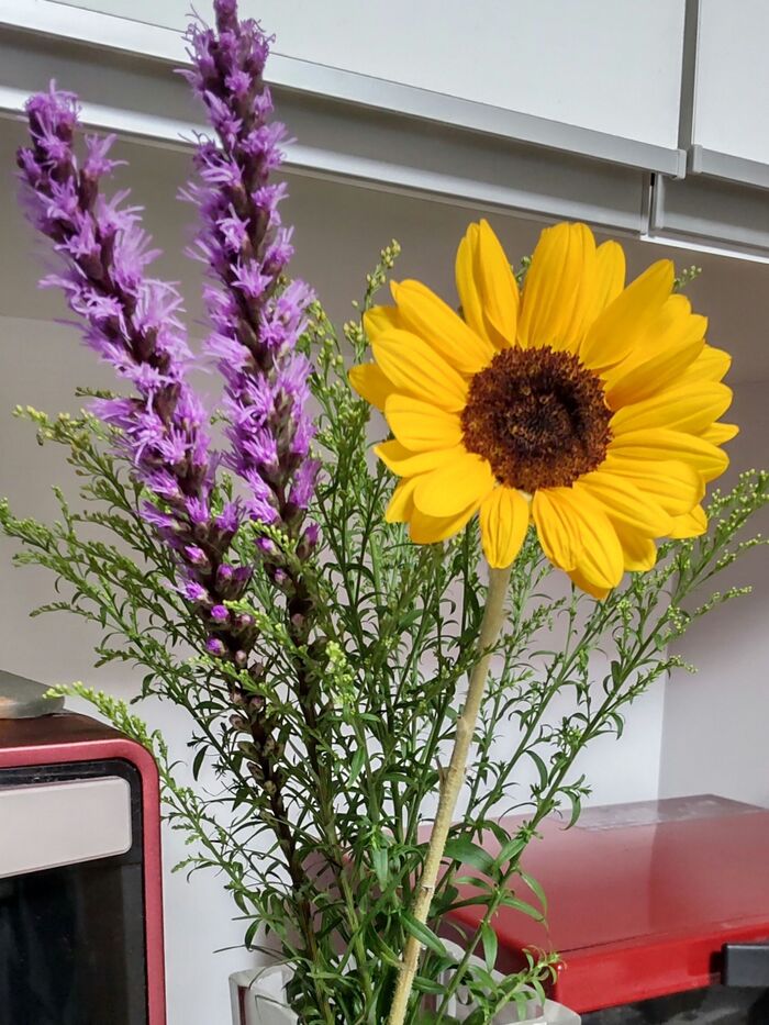 【切り花を長持ちさせるコツ】気軽に楽しむ♡夏らしい向日葵×リアトリスー!