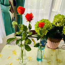 切り花はなるべく真っ直ぐに飾りたいので、これを使いますよ。