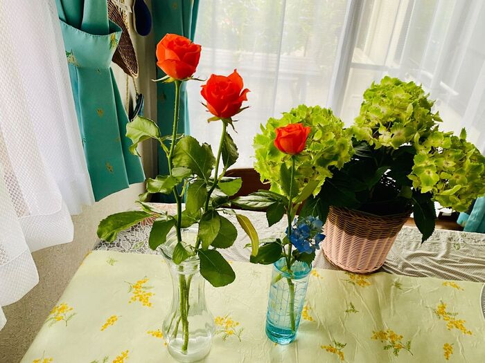 切り花はなるべく真っ直ぐに飾りたいので、これを使いますよ。