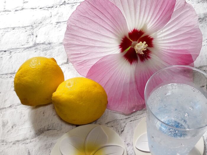 お花がもつ、天然のお色は、非常に美しい、綺麗ー!形もそれぞれ違ってて面白い♪