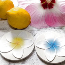 一目惚れ!暑い季節にお勧めな実用品です♡気品漂う「プルメリア」が可愛い!珪藻土の凄さって?