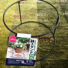 【ダイソー鉢スタンド】家にある物と組み合わせてお気に入りな使い方