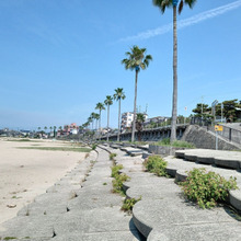 お外lunch west coast 明石・江井ヶ島『irie_jahmya』