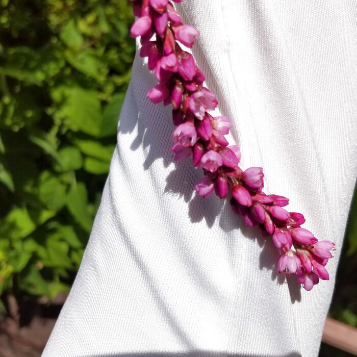 私とも相性の良さそうな植物ですー!見ていて癒されますよ。