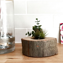 実は、エサ入れです【インテリア愛用歴7年】夏が買い時!