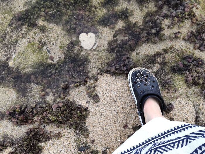 たくさんのハートに出会えた旅でした!でも、「クワズイモ」のハートには注意です!