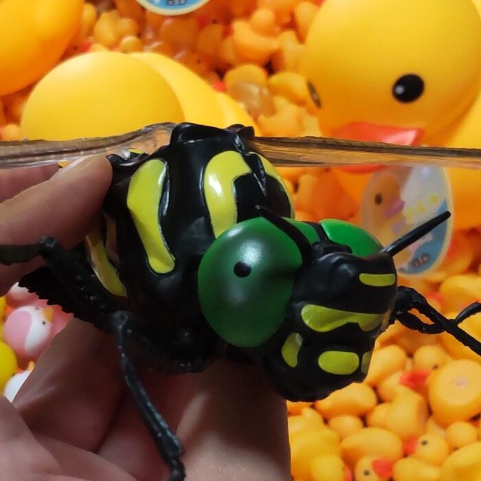 不思議な「複眼」!オニヤンマの複眼は、2万個もの小さな眼が集まってできています