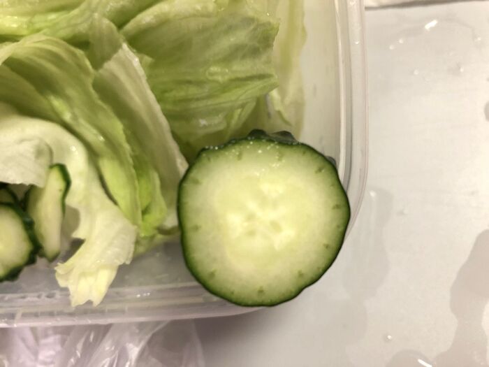 きゅうりはどんなかな?