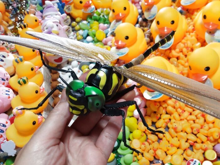 【夏休みの自由研究】小学生ならやっぱり昆虫ー?!最強のトンボ、オニヤンマの不思議はいかが?