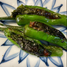 しし唐の旨味がぎゅっと詰まった箸休めです♪