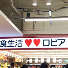 激安なのに品質よし!初めてのロピアに潜入♡