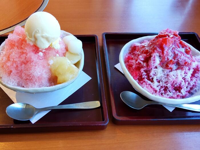 半額セール中だからめちゃお得ですよ。ぜひ楽しんでみてくださいね