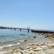 須磨beachからの頂き物 beurre d'oursin