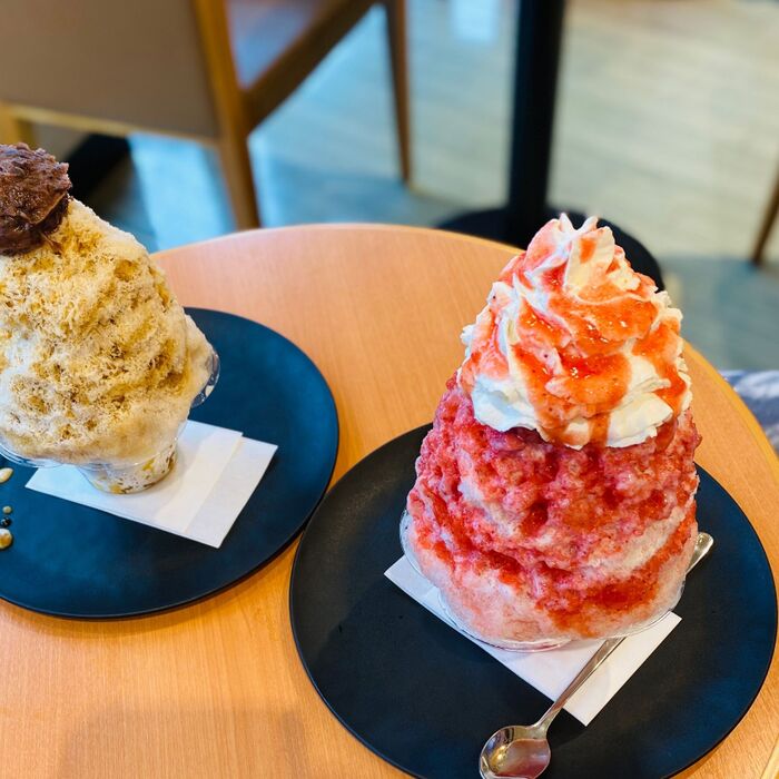 明治41年(1908年)創業の老舗の味赤塚製氷!まるで宝石のようなかき氷!