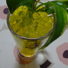 面白いの見つけた!!プラントボール