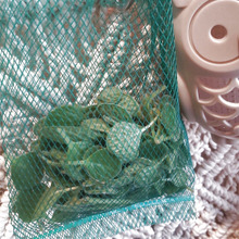 【オクラネット捨てちゃダメ―!】自然の力(アロマティカス)で不快なゴキブリ退散?0円!害虫除けー!