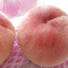 【ももの賞味期限は?】美味しく食べるには、どう保存すればいいの?