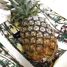 【パイナップル】甘みが均一になる置き方って?まるごと1個入手した際の、パイナップルの保存の仕方。