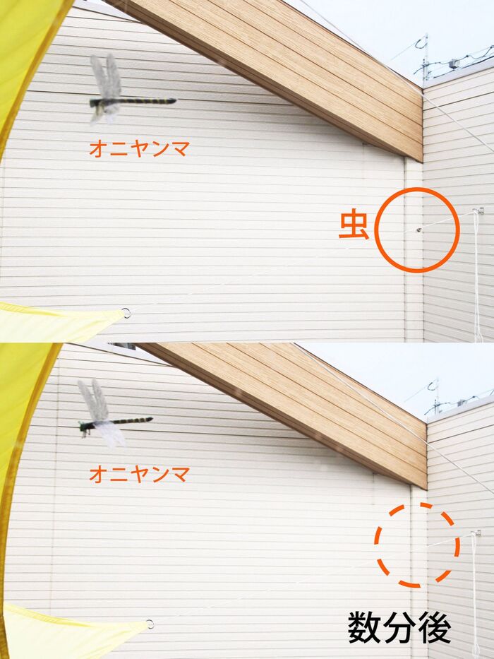 効果としてはいかに?!
