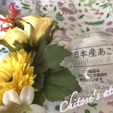 えっ?嘘でしょ!?ガチャで『あこや真珠』が手に入っちゃう♪