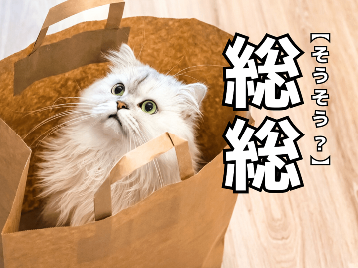 【総総】を「そうそう」と読んだら笑われます!【読めないと恥ずかしい漢字クイズ】