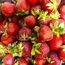 出会いは、突然に…63円/kと出会った