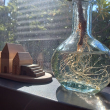 本日のキャフェ 六甲アイランド「N°CAFE」