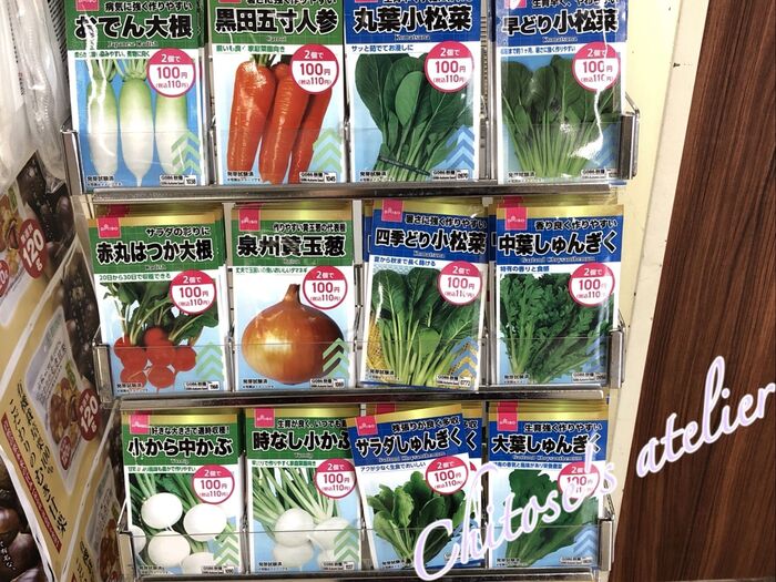 侮るなかれ【ダイソー50円野菜♪】