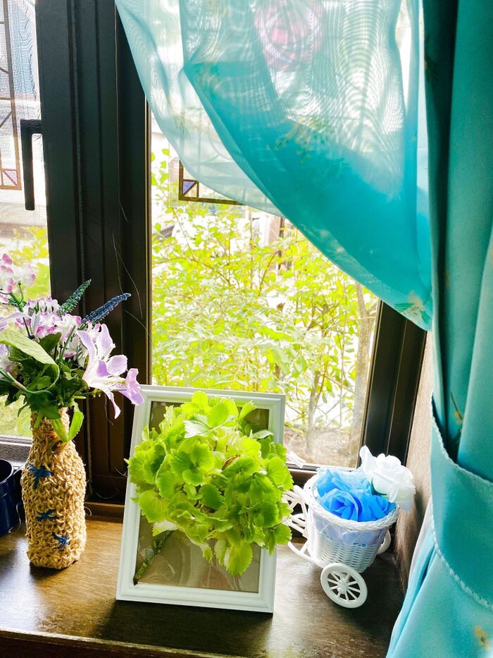 枯れ気味のアジサイでドライフラワー!花がぼろぼろしない秘策付き♪