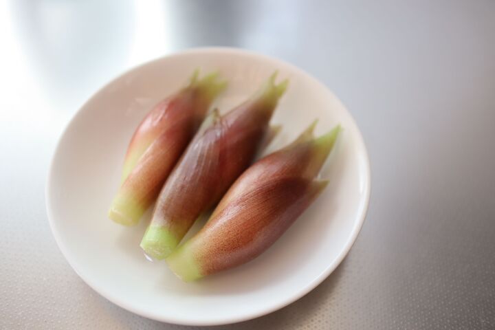 みょうがをパックのまま保存してない?こうすればシャキシャキ感とみずみずしさを長くキープできる!【やってみた】